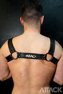 HARNESS TRACK BLACK
