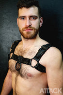 HARNESS TRACK BLACK