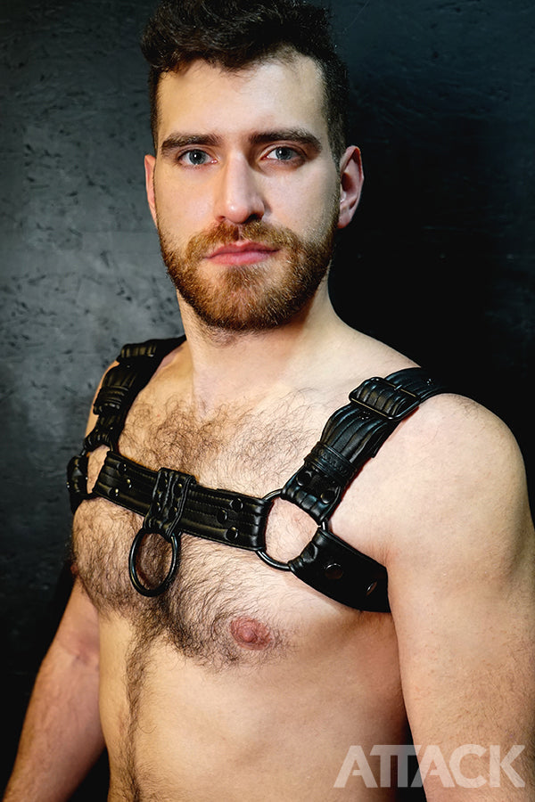 HARNESS TRACK BLACK